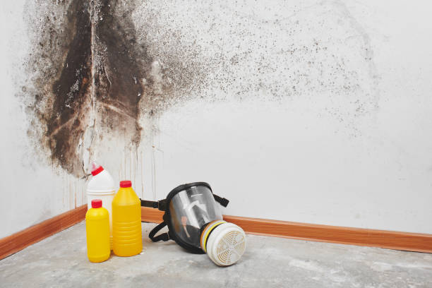 Attic Mold Removal in Cochranton, PA