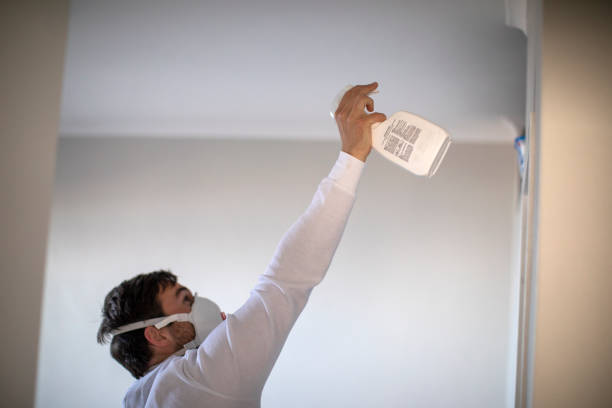 Best Emergency Mold Removal  in Cochranton, PA