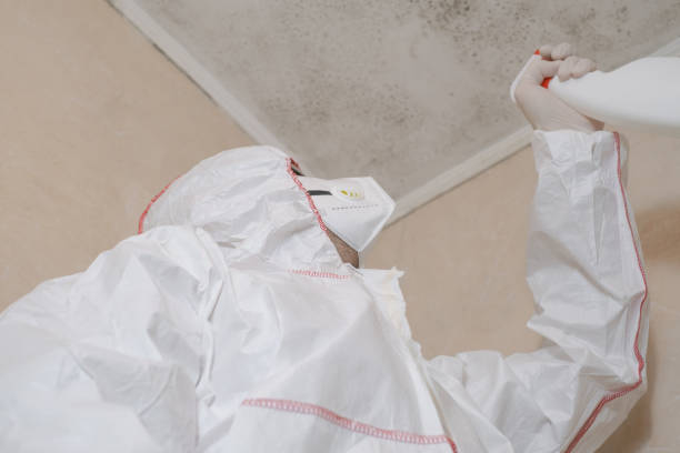 Best Residential Mold Removal  in Cochranton, PA